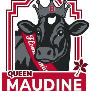 cow wearing a crown